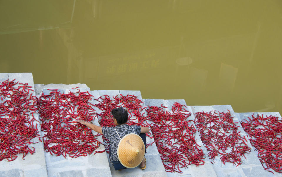 A woman dries chillies in Zhaoxing - Credit: GETTY