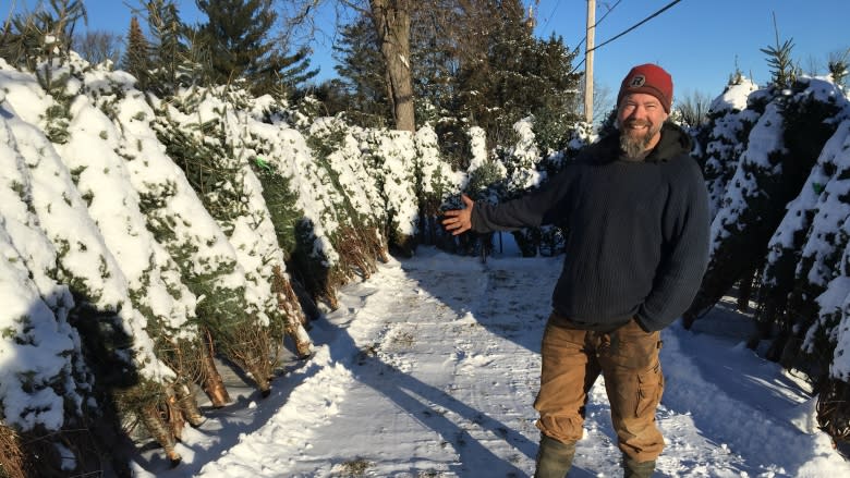 Cut off from customers, tree lot's season saved by neighbours