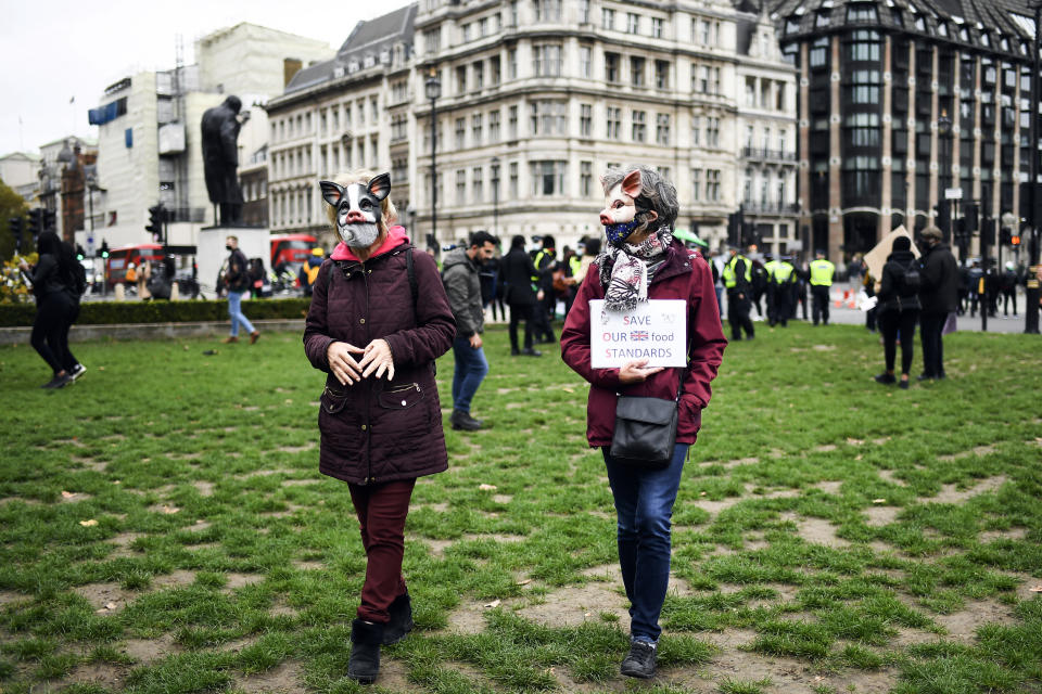 Demonstrators wear pig masks in Parliament Square, as part of a day of action against the US trade deal, ten days before the US Presidential election, in London, Saturday, Oct. 24, 2020. There will will be protests held nationwide against a proposed US trade deal, opposed by a number of organisations including Global Justice Now and Stop Trump Coalition. (AP Photo/Alberto Pezzali)