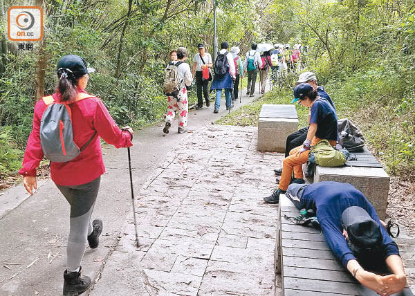 環保大使將在五個本地熱門行山地點，向市民宣傳行山禮儀。