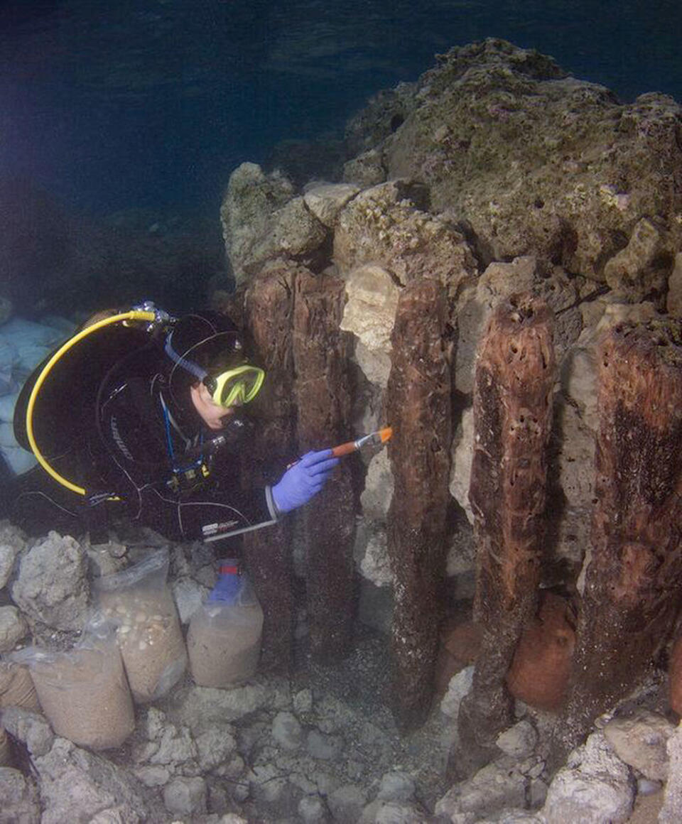 Conservator Angeliki Zisi cleans and assesses the bulwark's wooden posts. <cite>Vassilis Tsiairis</cite>