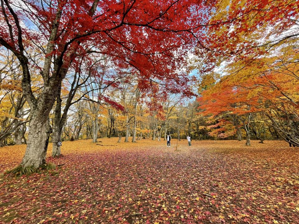 青森黑石市中野紅葉山
相片來源：Masami__travel