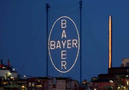 A logo of Bayer AG is pictured at the so called 'Chempark'