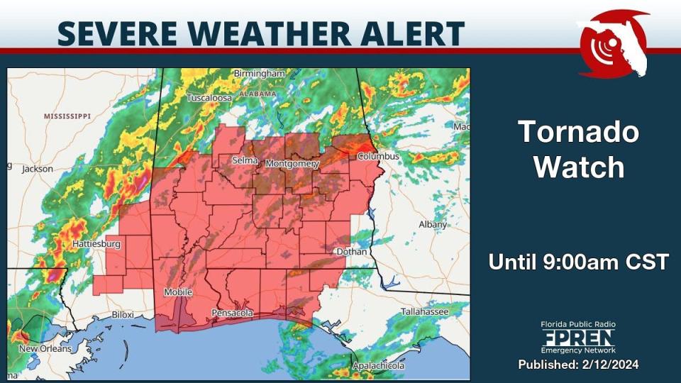 A tornado watch is in effect for several counties in the western Panhandle Feb. 12, 2024.