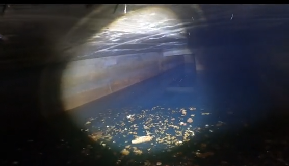 Trevor and Hayley Gilmartin found this flooded tunnel under their indoor hot tub in March 2024. They posted a TikTok video, from which this image was taken, on April 13, 2024.