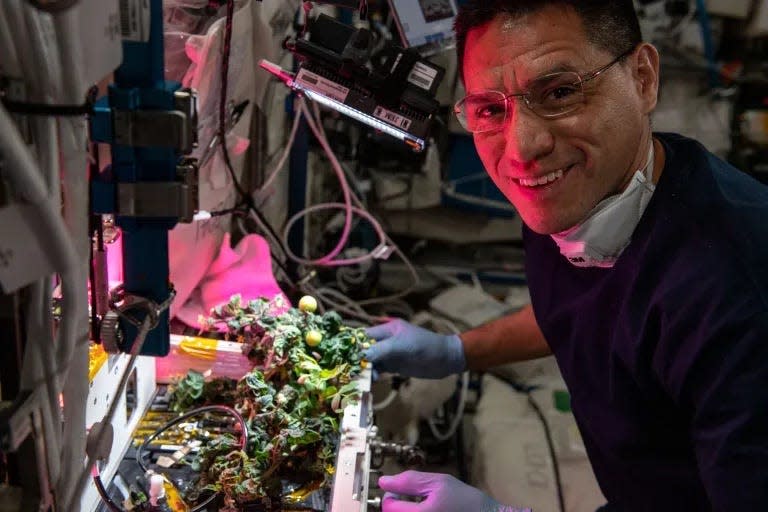 Frank Rubio sonríe mientras hace jardinería en el espacio.