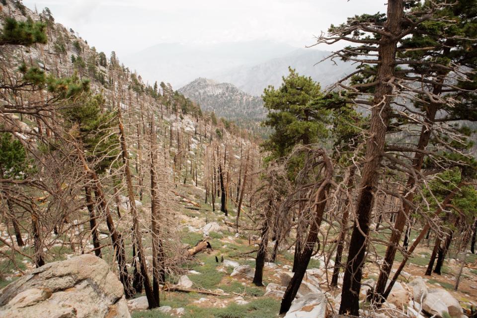 A view from The San Jacinto Mountains is seen.