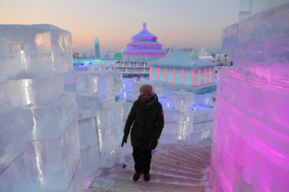 Harbin International Snow Sculpture Art Expo