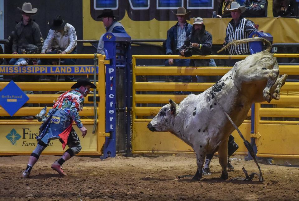 Texan Taylor Toves' bull Hell's A Poppin bucks away from pickup men in the Bull Riding competition at the Dixie National Rodeo at the State Fairgrounds earlier this year. The entertainment line up has been announced for next year's event.