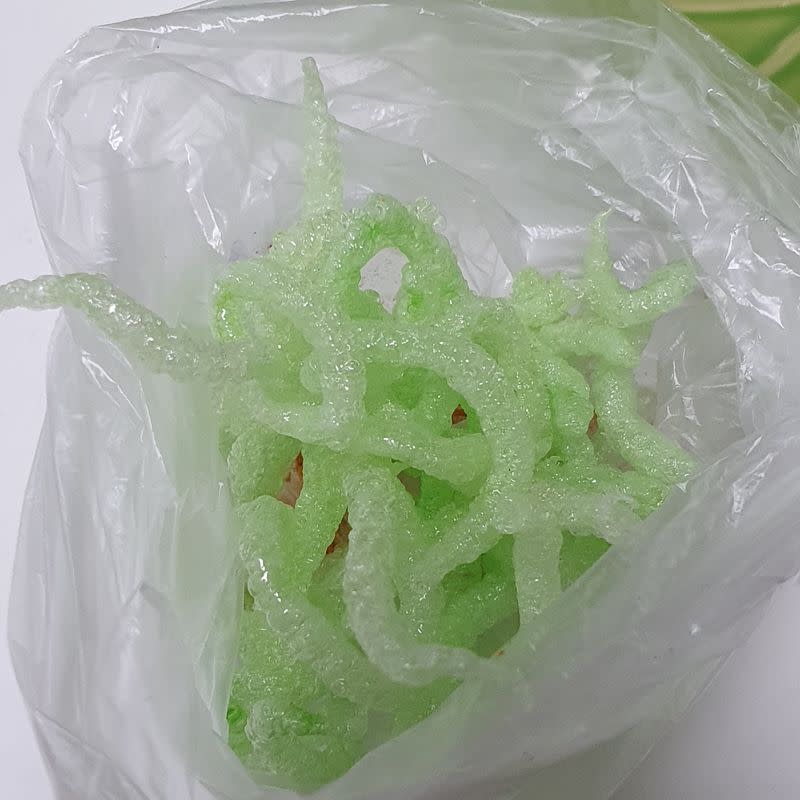 The dish "Fried green toothpick" which went viral following a social media trend, against which South Korea's food and drug safety authorities have issued warnings, is seen inside a plastic bag, in Busan