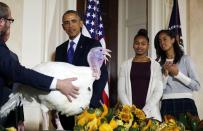 <p>President Barack Obama is joined by his daughters, Sasha and Malia (R), as they all participate in the annual turkey pardoning ceremony marking the 67th presentation of the National Thanksgiving Turkey while in the White House in Washington, November 26, 2014. (Photo: Larry Downing/Reuters) </p>