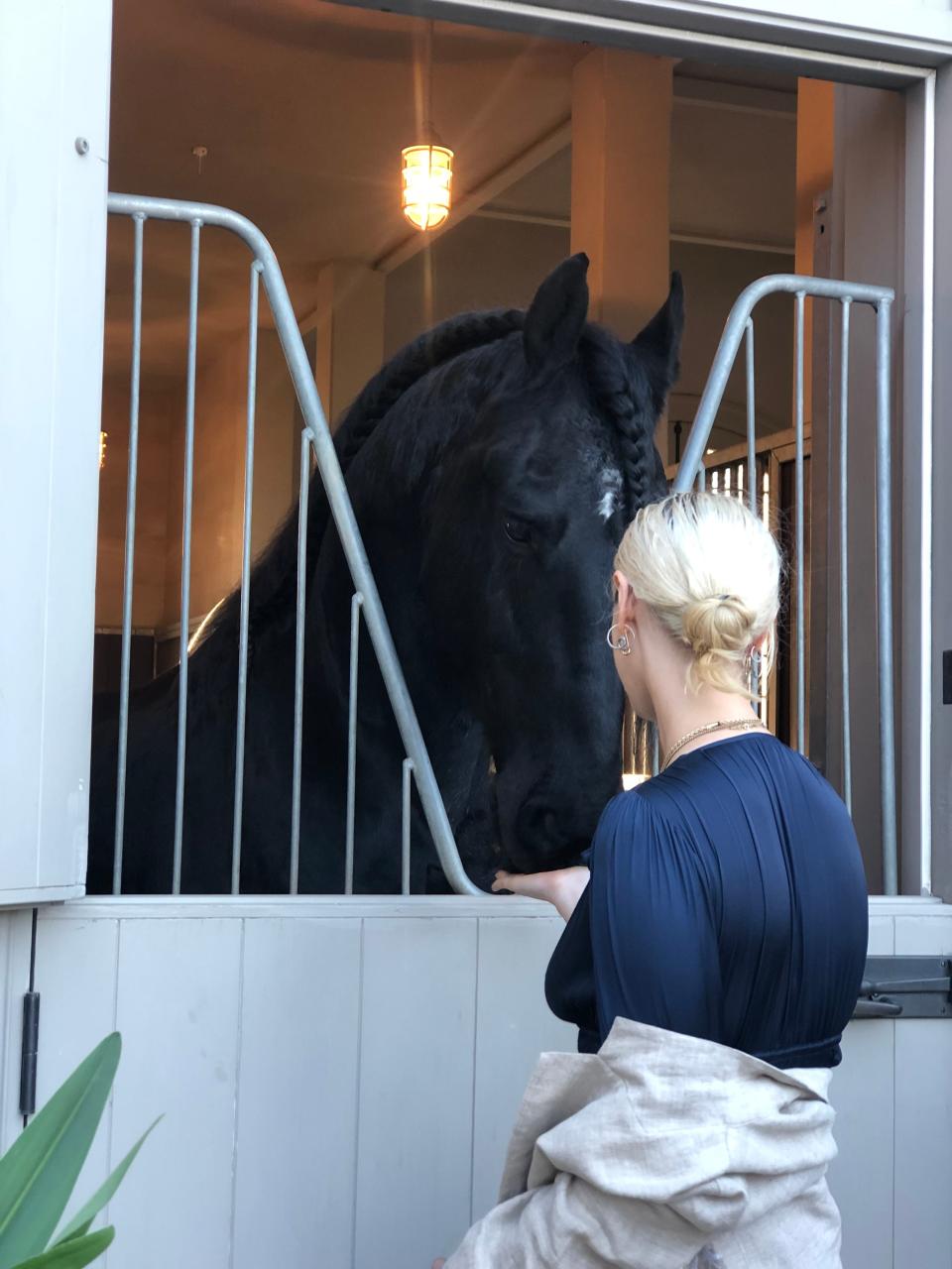 Guests mingled with Stewart's prized horses in the stables.