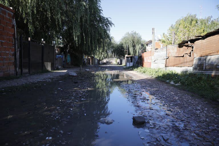 Para evitar que en la primavera y verano de este año vuelva a haber un brote de dengue, los expertos resaltan que habría que llevar a cabo una campaña importante de descacharrado