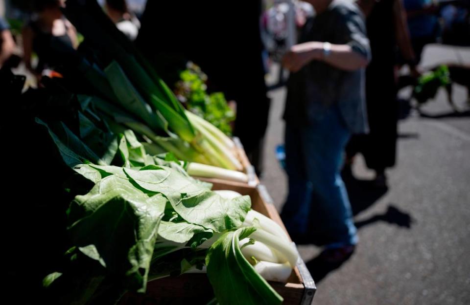 Some farmers markets can leave you wanting for the “farm” they promise. At Proctor, there are always several growers, offering the best of their seasonal harvests.