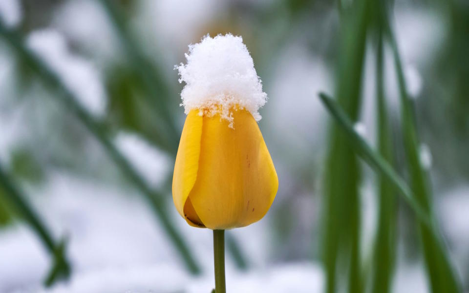 No April fool: Almost every province could see snow next week