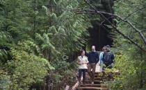 The Duke and Duchess of Cambridge along with the Premier of British Columbia Christy Clark walk through the Great Bear rainforest in Bella Bella, B.C., Monday, Sept 26, 2016. THE CANADIAN PRESS/Jonathan Hayward