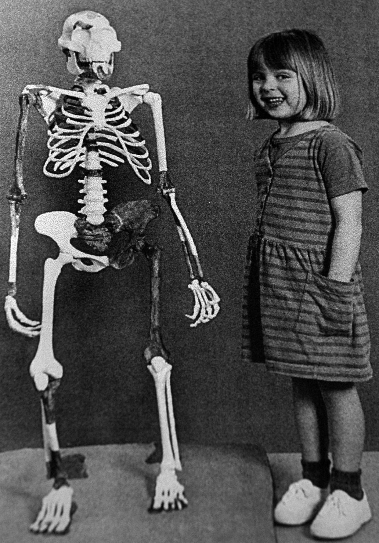 The reconstructed skeleton of Lucy, found in Hadar, Ethiopia, in 1974, and Grace Latimer, then age 4, daughter of a research team member. <a href="https://flic.kr/p/pgXYyW" rel="nofollow noopener" target="_blank" data-ylk="slk:James St. John/Flickr;elm:context_link;itc:0;sec:content-canvas" class="link ">James St. John/Flickr</a>, <a href="http://creativecommons.org/licenses/by/4.0/" rel="nofollow noopener" target="_blank" data-ylk="slk:CC BY;elm:context_link;itc:0;sec:content-canvas" class="link ">CC BY</a>