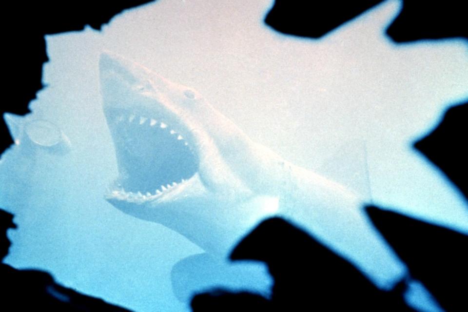 JAWS, 1975. (c) Universal Pictures/ Courtesy: Everett Collection.