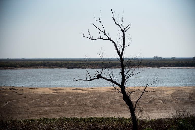 En la zona de humedales entre Rosario y Victoria se aprecia la bajante del río Paraná