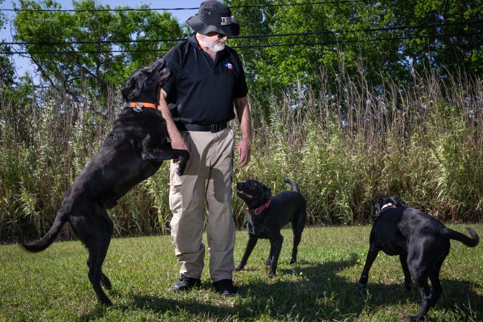 TEXSAR volunteer Joe Huston is surrounded by his cadaver dogs from left, Orion, 12, Anubis, 2, and Aalta, 9, on Tuesday, April 2, 2024, in Corpus Christi, Texas. The search and rescue handler and dogs are based in Woodlands, Texas.