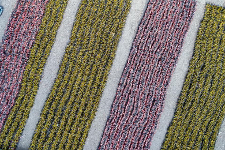 Amazing drone photos of abandoned bikes in China