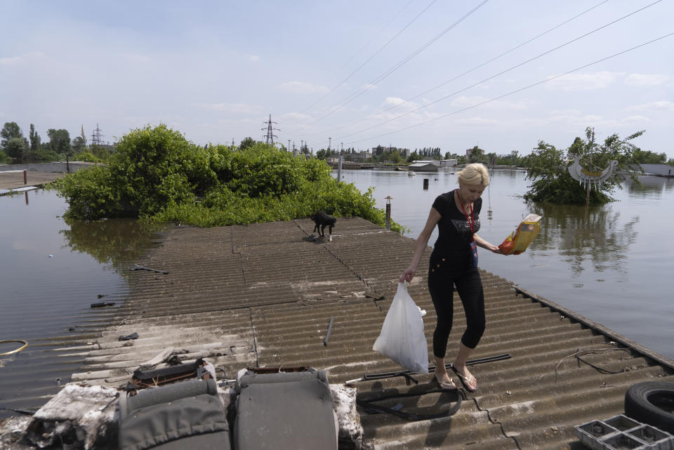 An animal rescuer walks in the flooded area, a dog is in the background, after the dam collapse in Kherson, Ukraine, Thursday, June 8, 2023. (AP Photo/Vasilisa Stepanenko)