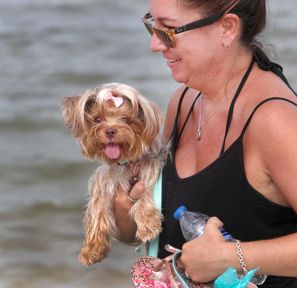 Coconut and Michelle Ficarelli head home after a day of fun at Smyrna Dunes Park's dog beach in Volusia County.