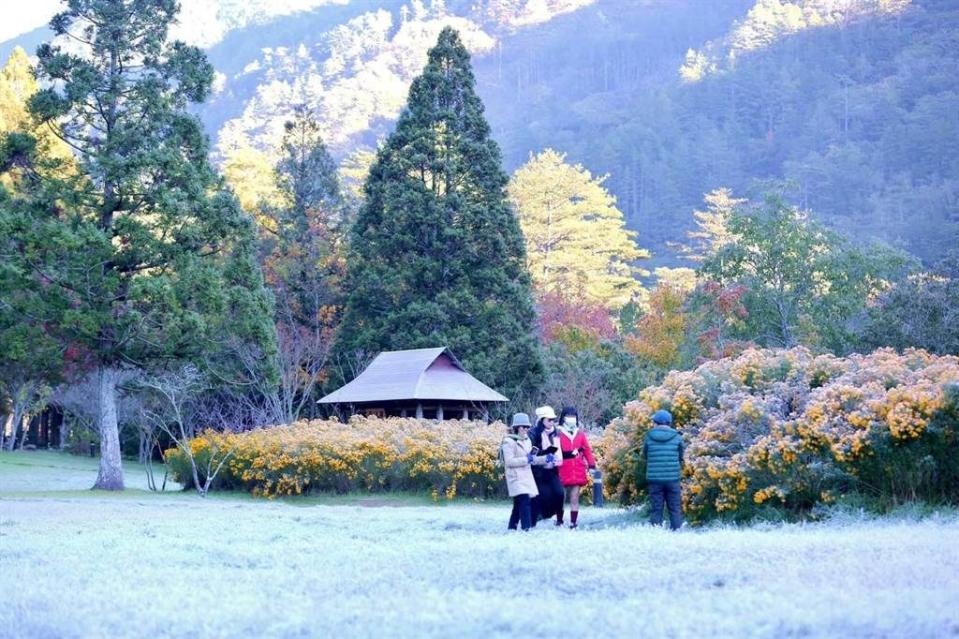 ▲在武陵農場住宿的旅客，一早外出時也被這樣的景色震驚住。（圖／武陵農場提供）