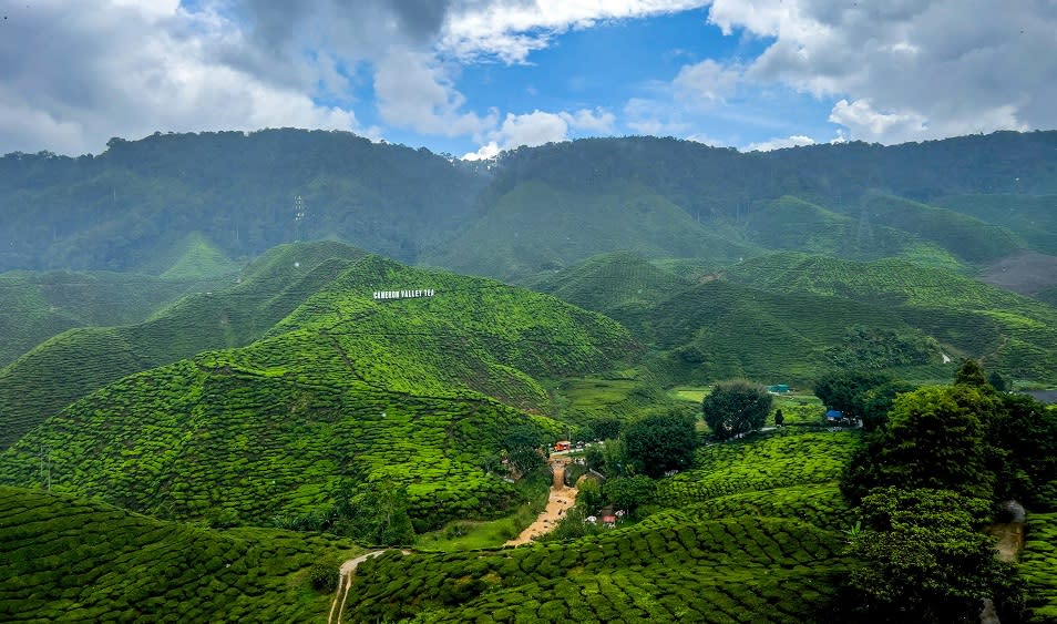 Rediscovering Cameron Highlands: A sanctuary where nature’s beauty thrives