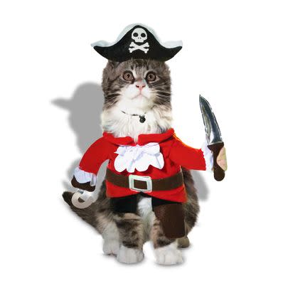 Cat Pirate Costume