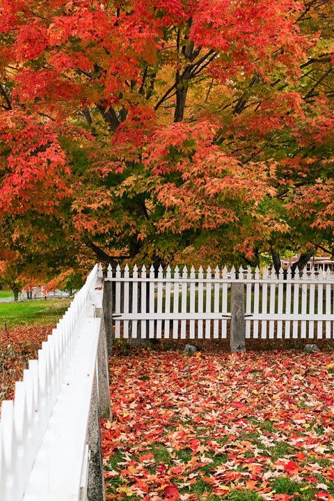 Inspect the fence.