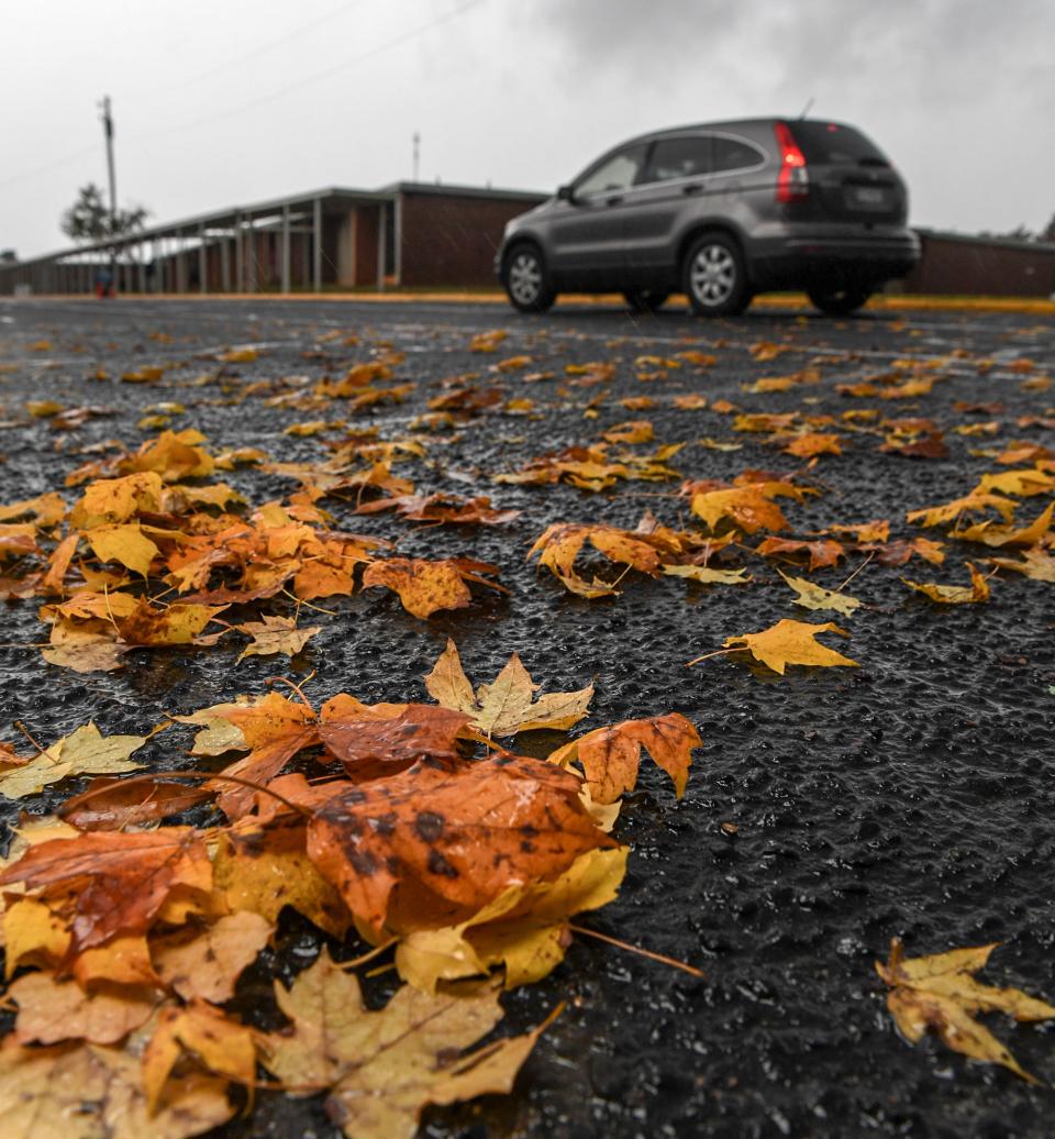 A car drives through Anderson on wet roads and fallen leaves.