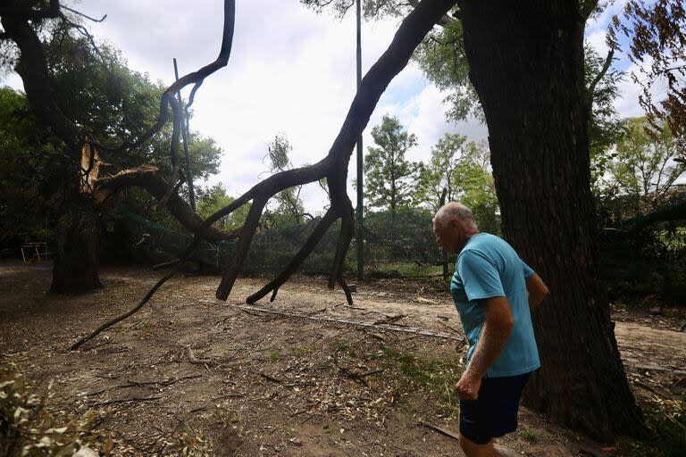 Los Bosques de Palermo sufrieron las consecuencias del temporal que aún se ven en las veredas y en el espacio verde