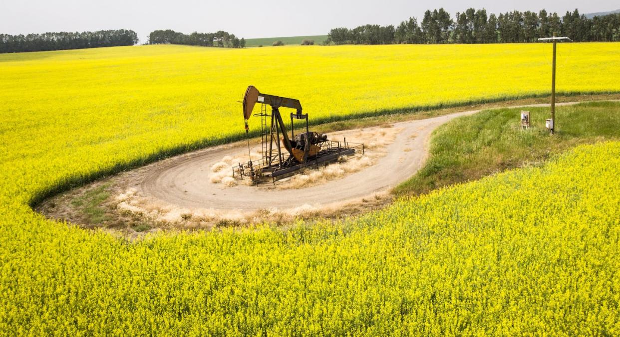 A pumpjack draws oil from underneath a canola field as a haze of wildfire smoke hangs in the air near Cremona, Alta., in July 2021. THE CANADIAN PRESS/Jeff McIntosh