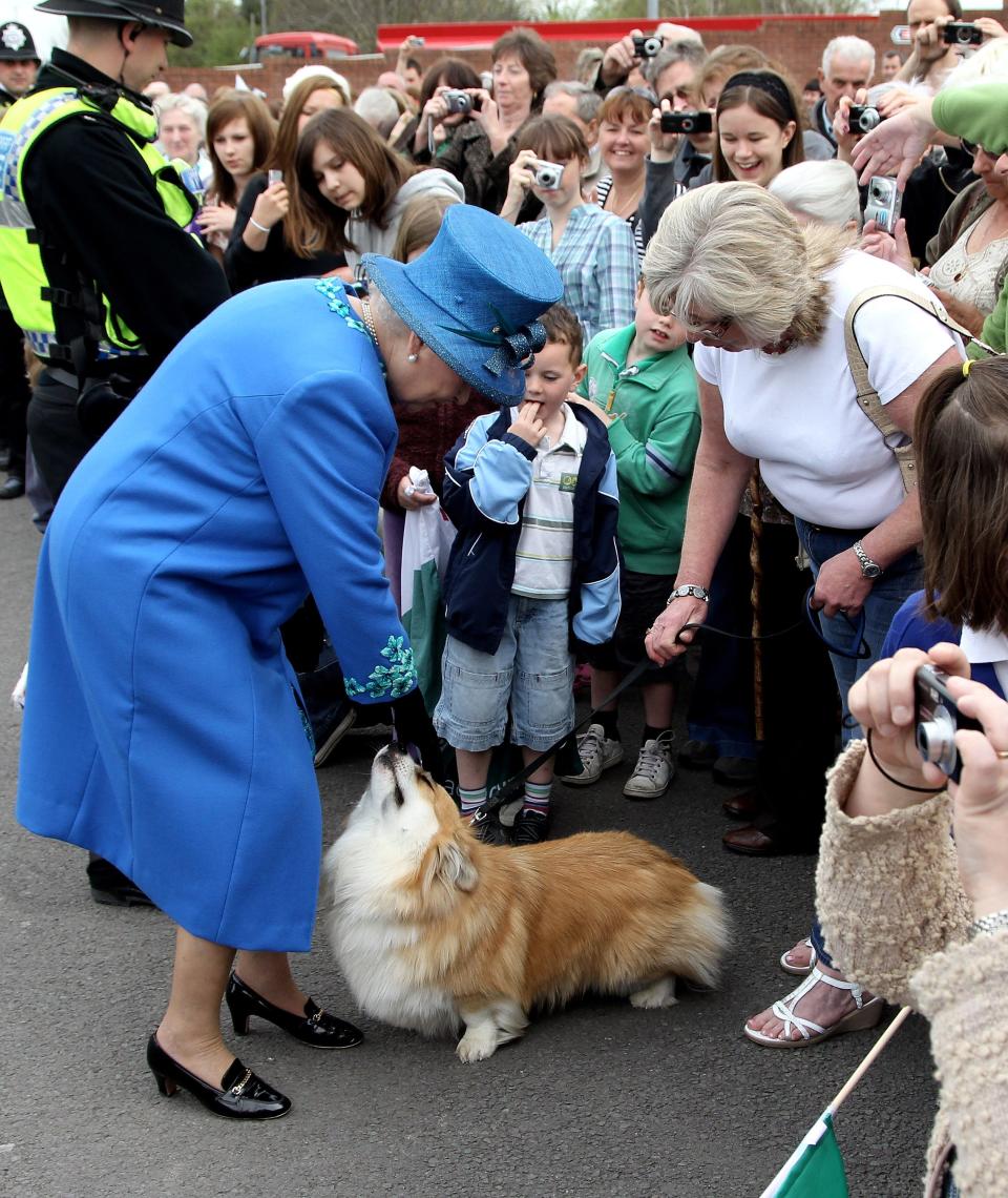 HM Queen Elizabeth II meets a corgi called Spencer as she arrives at Welshpool train station on April 28, 2010 in Welshpool, Wales. The Queen and Duke of Edinburgh are on a two day visit to North Wales.