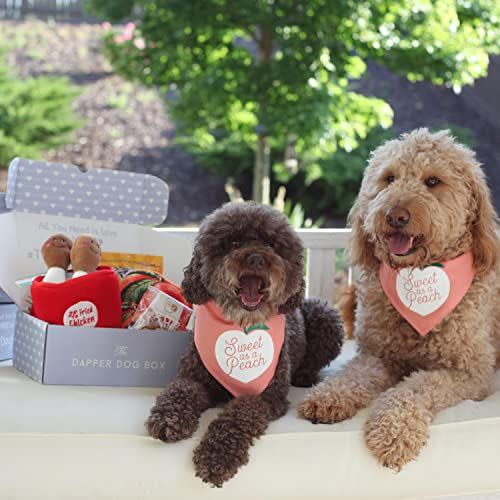 1) Curated Fun Themed Dog Subscription