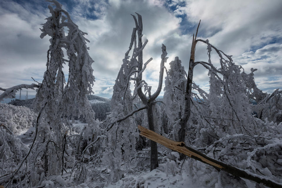 ***EXCLUSIVE***JAVORNIK, SLOVENIA - DECEMBER 9: Ice formations are seen on the arctic landscape on Mount Javornik on December 9, 2014 in Javornik, Slovenia.*GC*