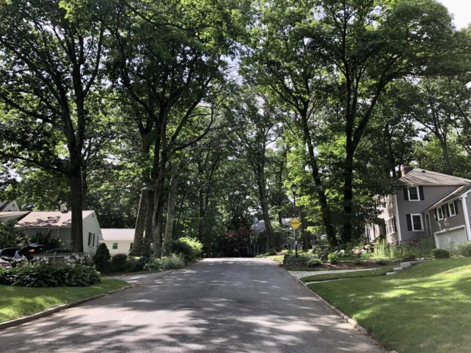 Ten minutes away from Vernon Hill, this neighborhood located near Worcester Polytechnic Institute boasts lots of tree cover and shade.