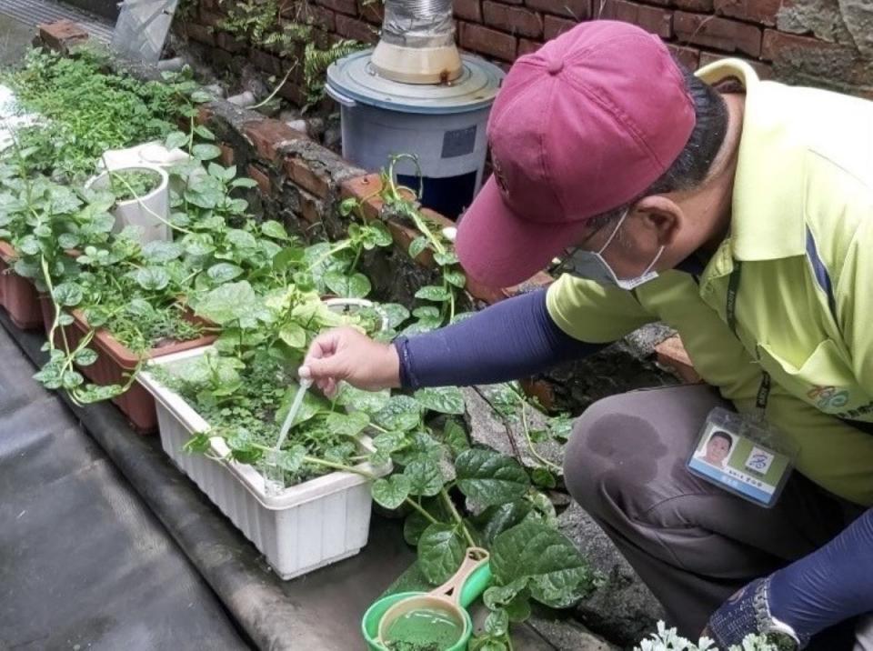 高雄市鳳山區查獲282處積水孳生病媒蚊孑孓。（圖：高雄市衛生局提供）