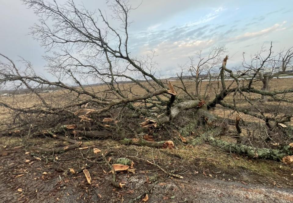 Ridge Road (Clark County)