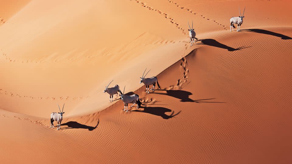 Western Namibia's Namib Naukluft National Park. - Martin Harvey/The Image Bank RF/Getty Images