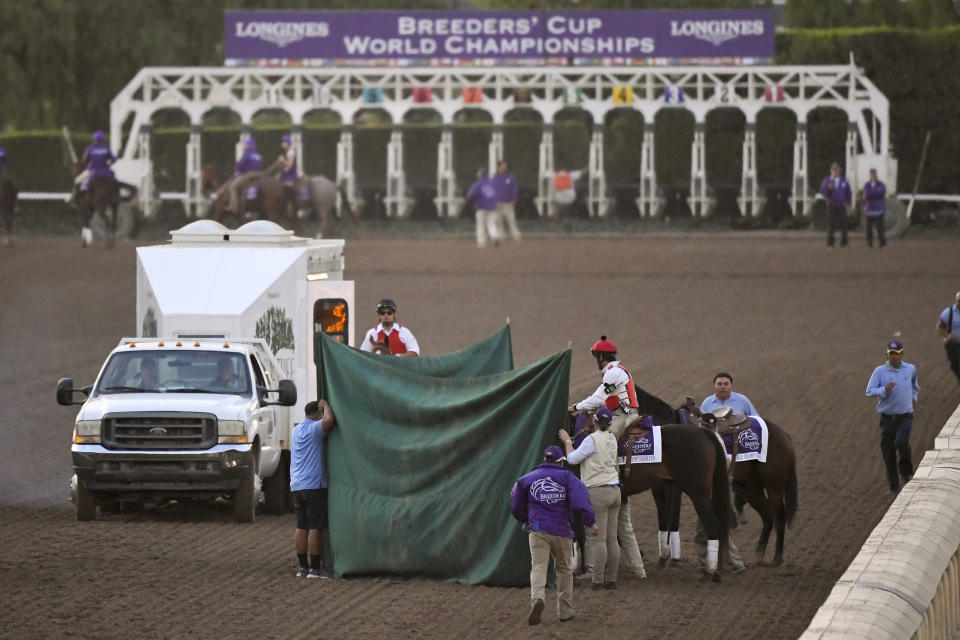 This Nov. 2, 2019, file photo shows track workers treating Mongolian Groom after the Breeders' Cup Classic horse race at Santa Anita Park in Arcadia, California. (Photo: ASSOCIATED PRESS)