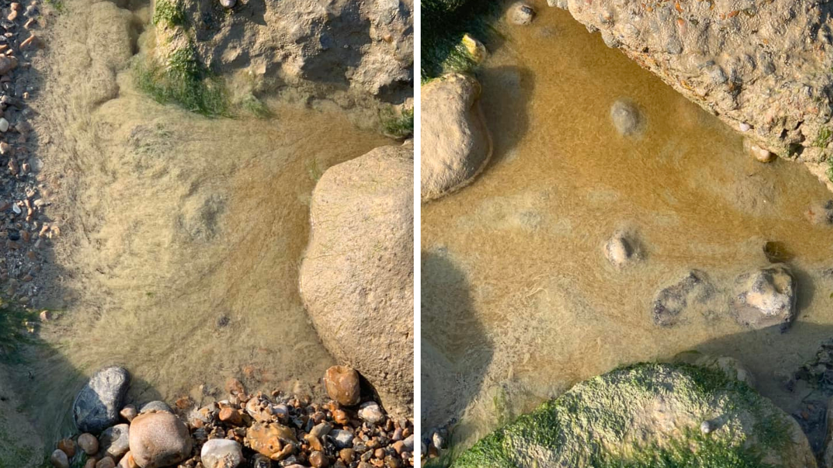 Two images showing brown sludge in the sea at Rottingdean