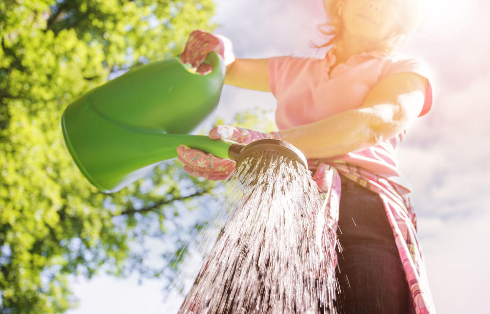 Watering cans may be used to water gardens between 10am-4pm under NSW water restrictions now being enforced. Source: Getty