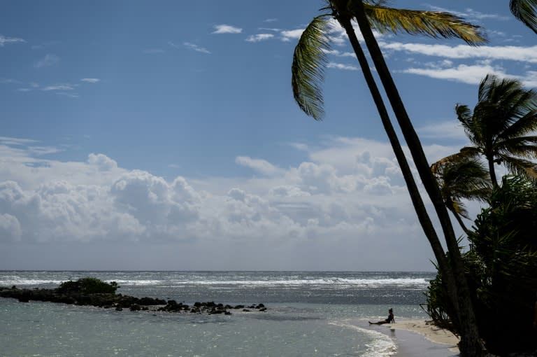 Une plage à Saint-Anne, en Guadeloupe, le 14 novembre 2022 (LOIC VENANCE)