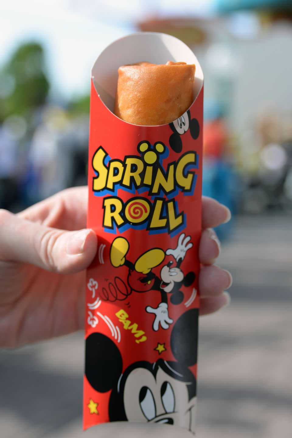 Pizza Spring Roll