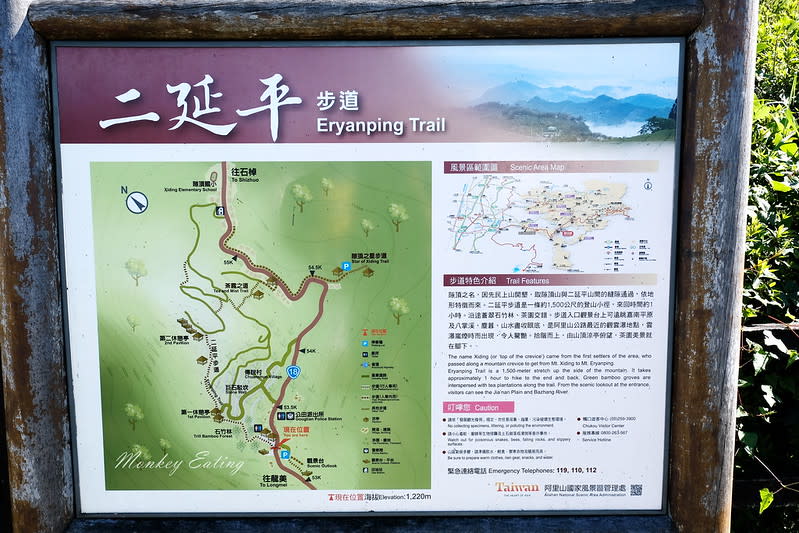 嘉義阿里山｜二延平步道