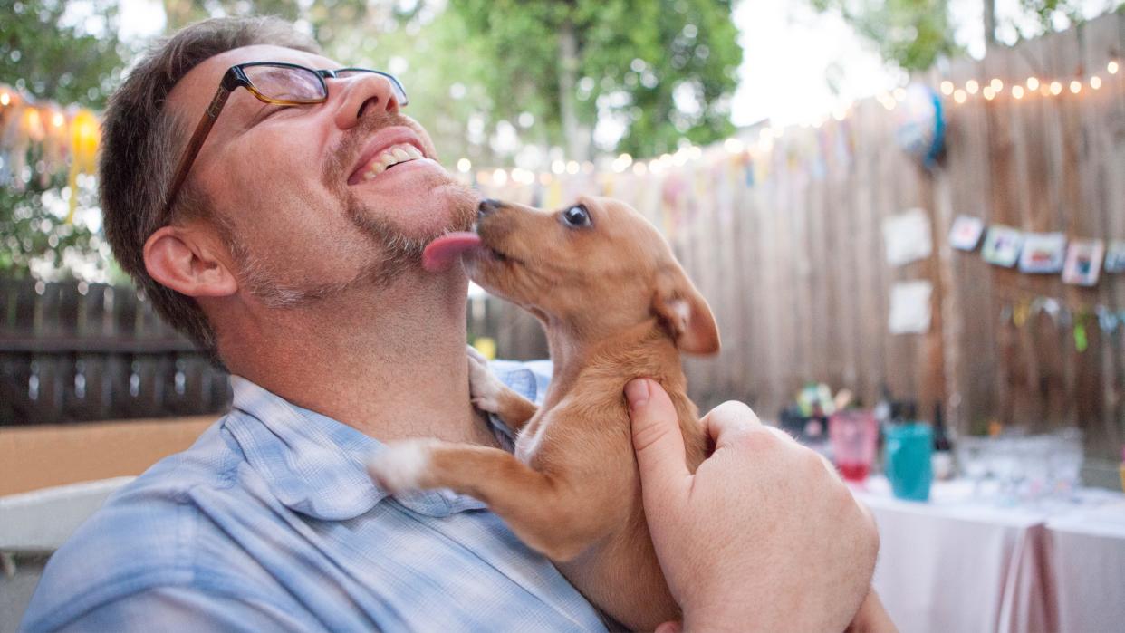  Puppy licking man's face. 