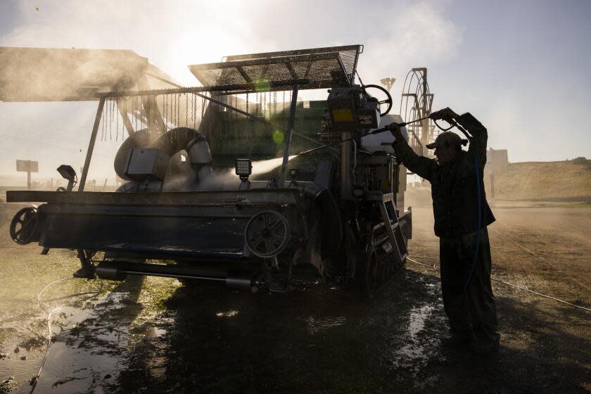 GREENFIELD, CA - APRIL 28: A farm laborer with Fresh Harvest hoses down a harvesting machine on April 28, 2020 in Greenfield, California. Fresh Harvest is the one of the largest employers of people using the H-2A temporary agricultural worker visa for labor, harvesting and staffing in the United States. The company is implementing strict health and safety initiatives for their workers during the coronavirus pandemic and are trying a number of new techniques to enhance safety in the field as well as in work accommodations. Employees have their temperature taken daily and are also asked a series of questions about how they feel. Despite current record unemployment rates in the U.S. due to COVID-19-related layoffs, there have been few applications to do this kind of work despite extensive mandatory advertising by companies such as Fresh Harvest. (Photo by Brent Stirton/Getty Images)