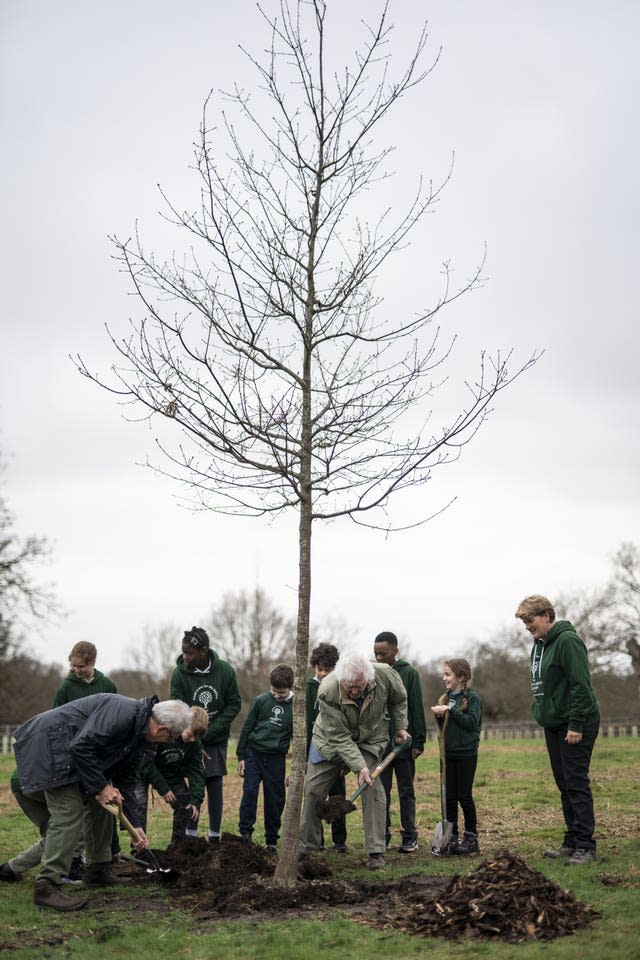 Queen’s Green Canopy – Sir David Attenborough